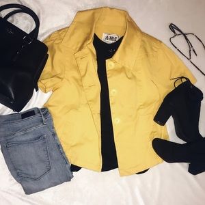 Spring yellow jacket